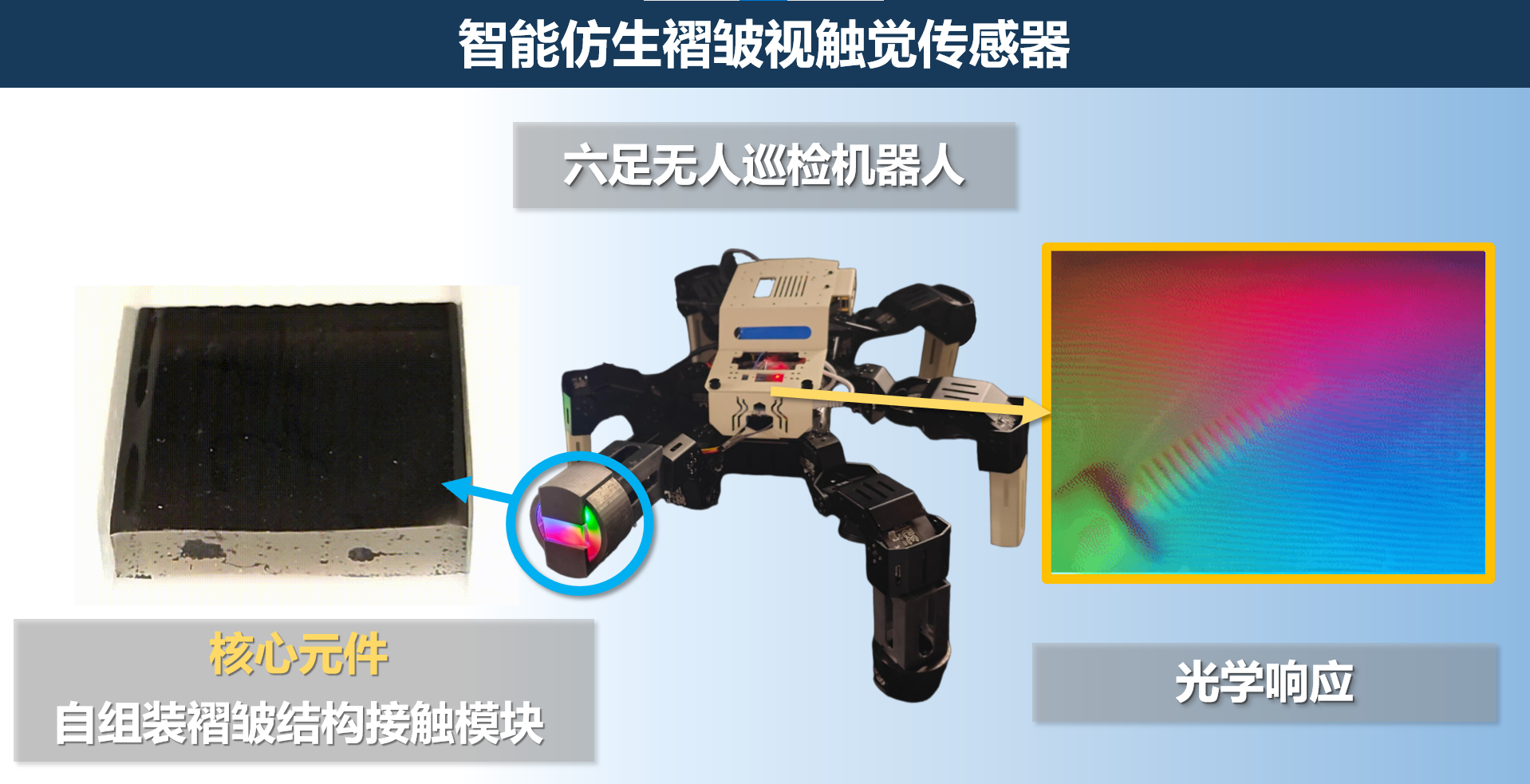 图2 获奖项目图.png