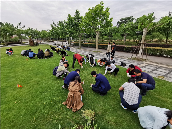 1621839585321953.jpg 图11除草.jpg