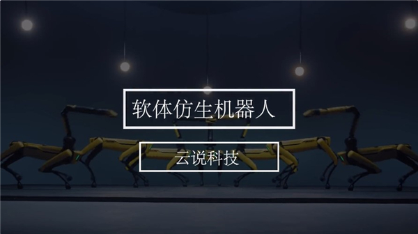 1666573462267110.jpg 图6.jpg